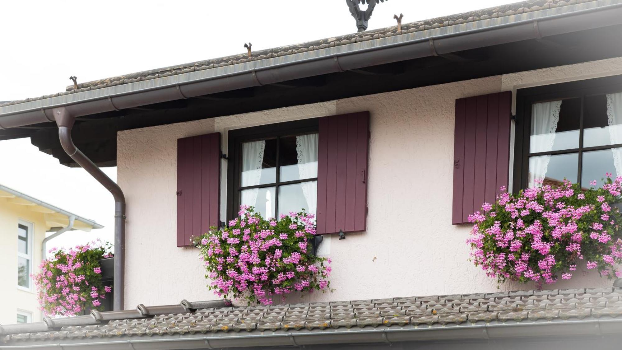 Gaestehaus Sattlerhof Bernau am Chiemsee Zewnętrze zdjęcie